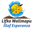 Logo APR Illaf Esperanza